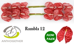 Anth A Rambla 13cm Ø