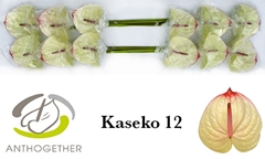 Anth A Kaseko 13cm Ø