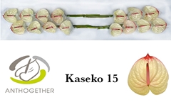 Anth A Kaseko 7cm Ø