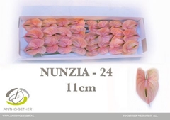 Anth A Nunzia 11cm Ø