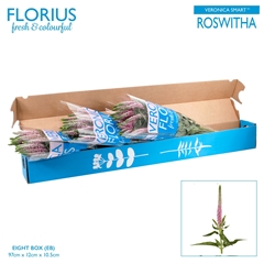 Veron Clea Roswitha 60cm