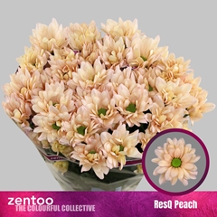 Chr T Resq Peach 70cm 100gram