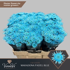Chr T Maradon Klb H% 55cm 100g