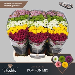 Chr San Pompo Gem Bs 55cm 110g