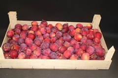F Sier Appels Rood Hout Kist