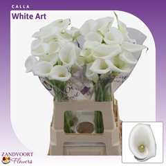 Zant White Art 65cm