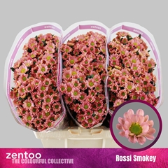 Chr San Rossi Smokey 55cm 110g