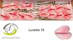 Anth A Lunette 11cm Ø