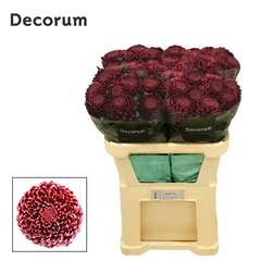Chr G Bigoudi Red 75cm 100gram
