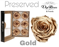 R Preserved Gold