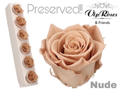 R Preserved Nude