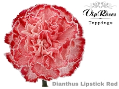 Di St Lipstick Red
