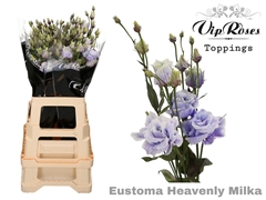 Eust G Alissa Heavenly Milka