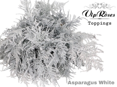 Asp Ov Extra Veren Wit