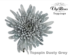 Chr G Topspin Dusty Grey
