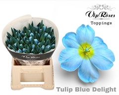 Tu En A Blue Delight