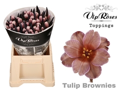 Tu En A Brownies