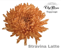 Chr G Stravina Latte