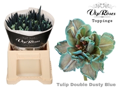 Tu Du Double Dusty Blue