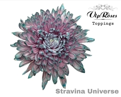 Chr G Stravina Universe