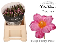 Tu En A Flirty Pink