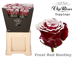 R Gr Frost Red Bentley X20