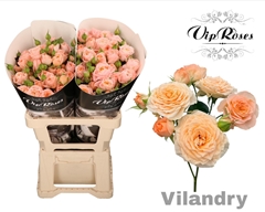 R Tr Vilandry