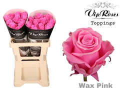 R Gr Wax Pink (60CM)