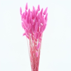 Droogbl Bewerkt H% 60cm 60gram