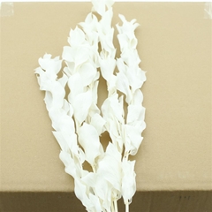 Droogbl Bewerkt H% 50cm