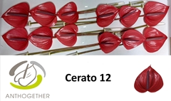 Anth A Cerato 13cm Ø