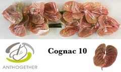 Anth A Cognac 15cm Ø