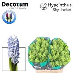 Hyac Sky Jacket