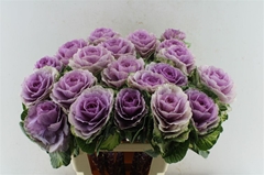 Brass Rose Crane 60cm