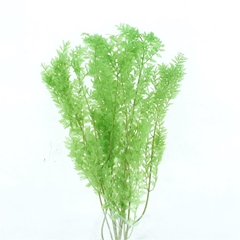 Droogbl Bewerkt H% 70cm
