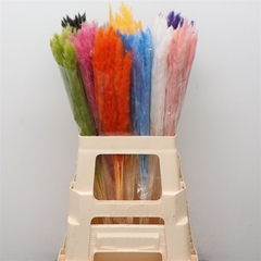 Droogbl Bewerkt H% 70cm