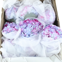 Hydr Other 60cm 19cm Ø