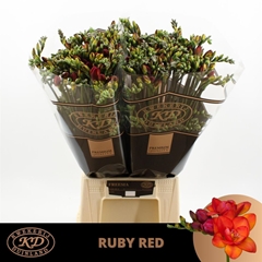 Fr Du Ruby Red 21gr