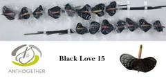 Anth A Black Love 7cm Ø
