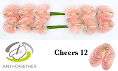 Anth A Cheers 13cm Ø