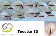 Anth A Facetto 15cm Ø