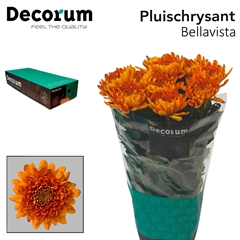 Chr G Bellavista 70cm 80gram