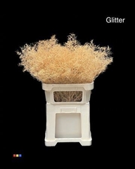 Limonium Apricot + Glitter Bio
