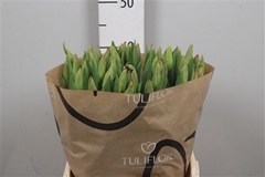 Tu En Strong Fire 41cm 38gram 12