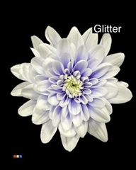 Chr T 2 Kl Baltica Pastel Lilac + Glit Bio