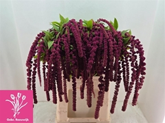 Amar Caud Rosary 80cm