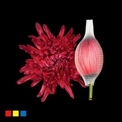 Chr G Stravina Bordeaux