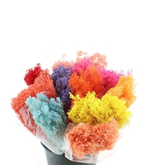 Droogbl Bewerkt H% 55cm 100gram