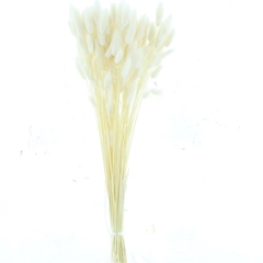 Droogbl Bewerkt H% 60cm 100gram