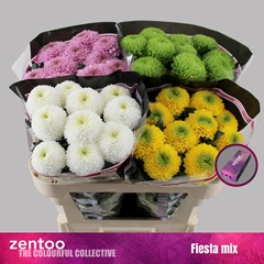 Chr G Mixed 70cm 80gram